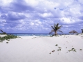 CUBA 9